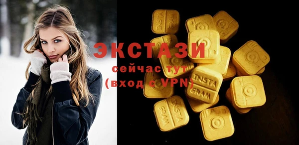 шишки Надым