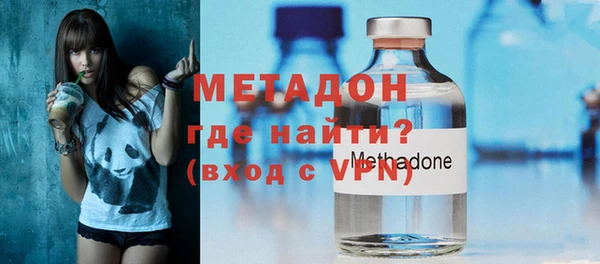 шишки Надым