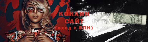 шишки Надым
