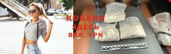 шишки Надым
