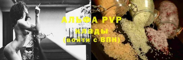 шишки Надым