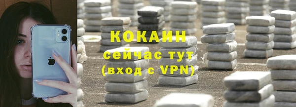 шишки Надым