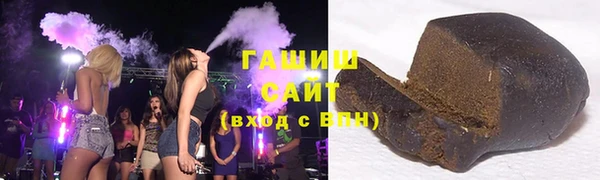 шишки Надым
