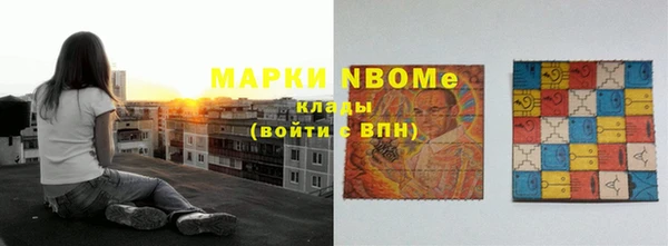 шишки Надым