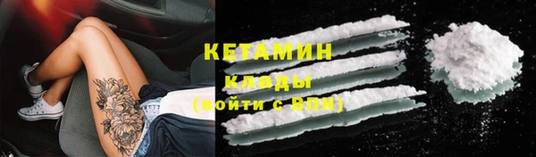шишки Надым