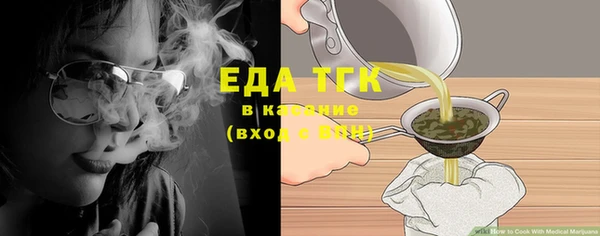 шишки Надым