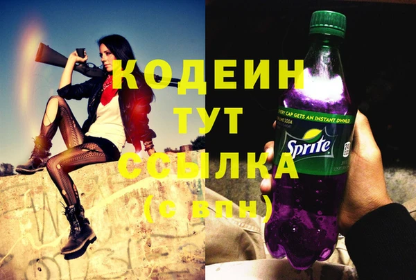 шишки Надым
