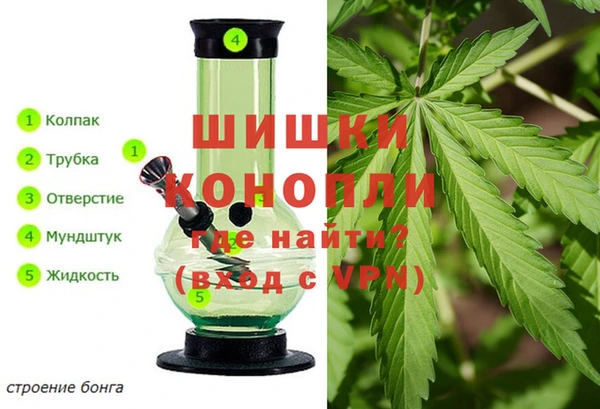 шишки Надым
