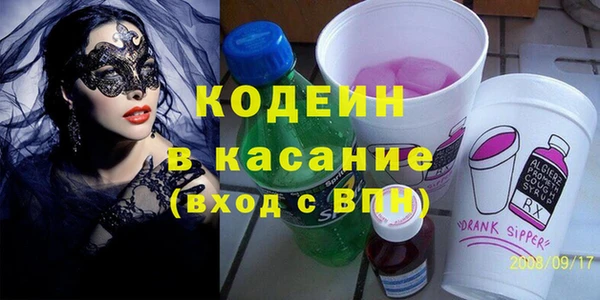шишки Надым