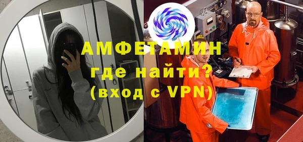 шишки Надым