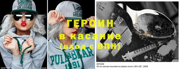 шишки Надым