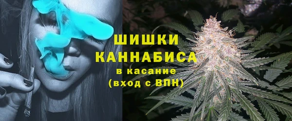 шишки Надым