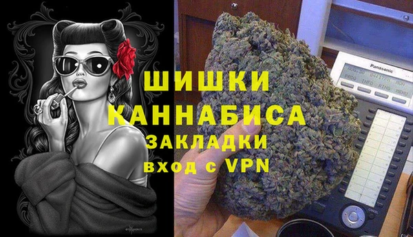 шишки Надым