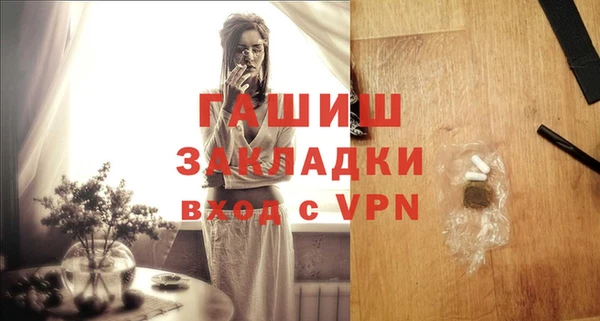 шишки Надым