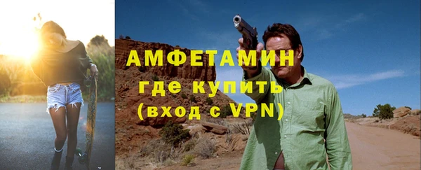 шишки Надым